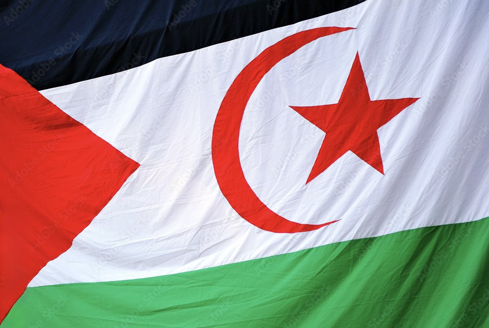 🇪🇭 Avui es compleixen 50 anys de la proclamació de la República Àrab Saharaui Democràtica: 50 anys de resistència i dignitat.

Reafirmem el nostre suport i la nostra solidaritat amb la lluita del poble saharaui i el <a href="/Polisario_Es/">Frente POLISARIO España</a>.

Sàhara llibertat! Polisario vencerà!