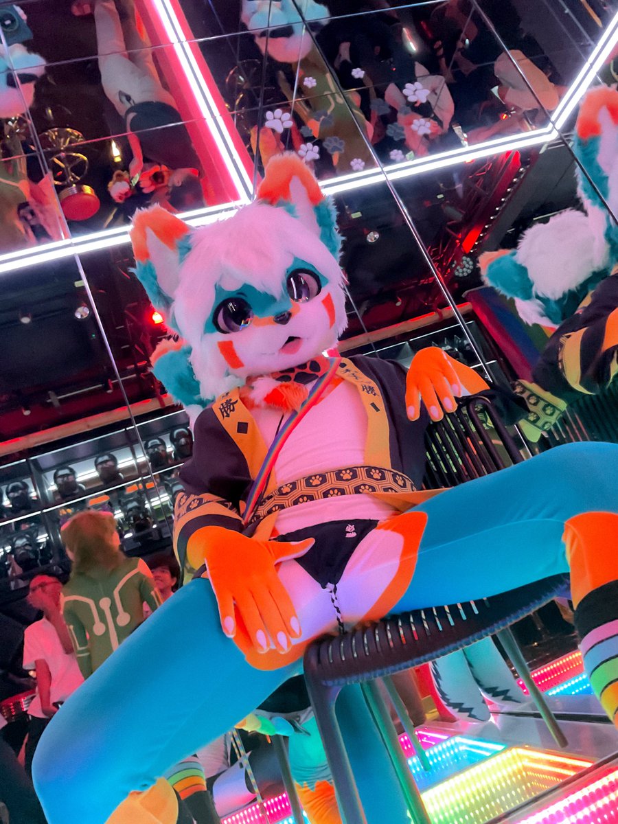 Felix|Chestnafox 🔜 🇹🇭 Thaitails 2026 tweet media