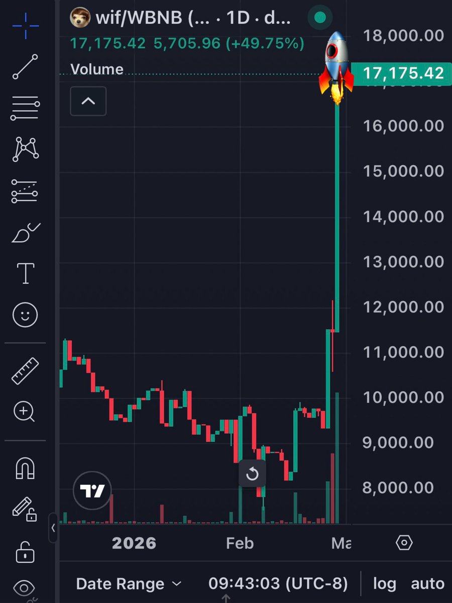 dogwifhair tweet media