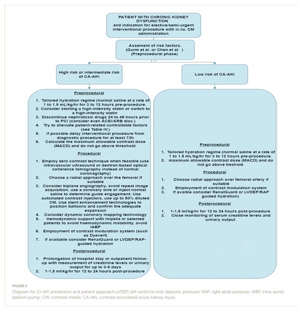 pallavi_mahato's tweet photo. ❗❗Approach to Contrast Induced AKI⏭️⏭️⏭️❗❗
🔗https://t.co/SWHpXhwruH

#NephTwitter #MedTwitter  #AKI https://t.co/0MDikPBsZT