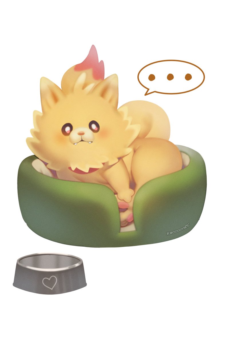 Raccoon21C32385's tweet image. #Pombon