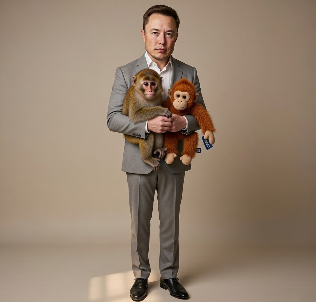 Hello <a href="/elonmusk/">Elon Musk</a> , punch needs your hug and love $Punch 

Time will tell, patience will pays 🐒🫂✨🤍