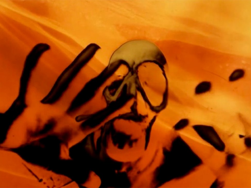 Asociación RUVID tweet media