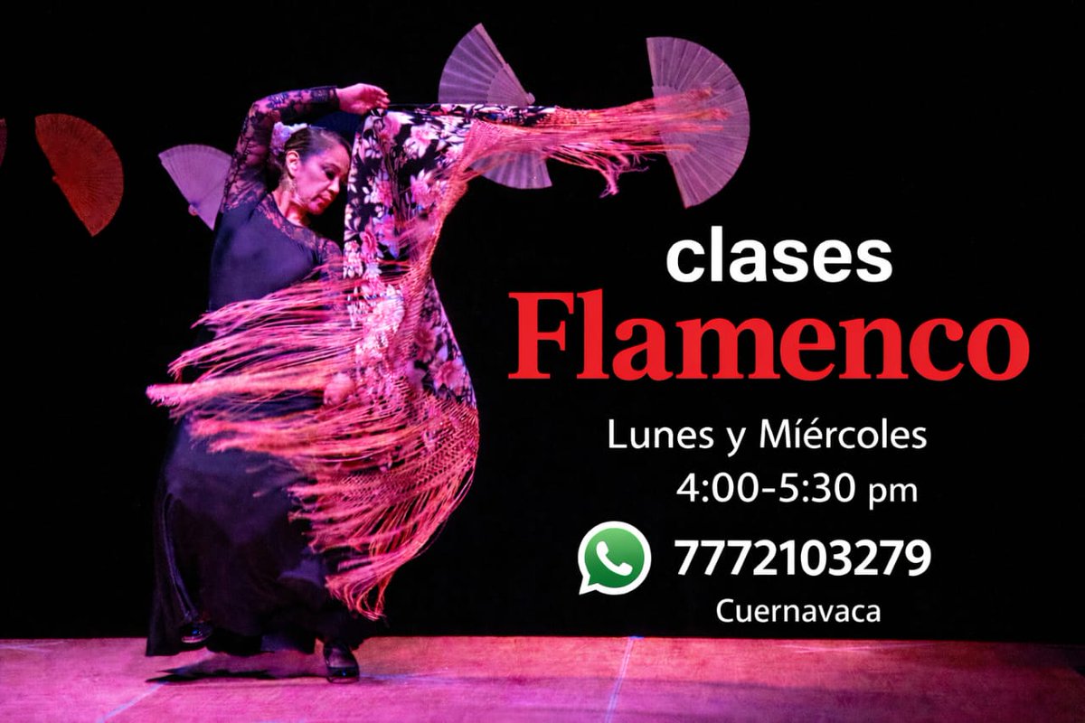 Vida Flamenca tweet media