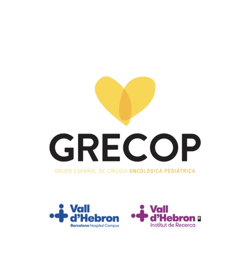 Gabriela Guillén tweet media