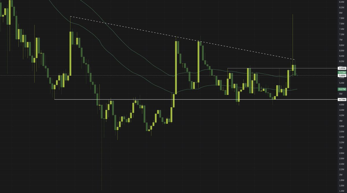 devine 德维恩 tweet media