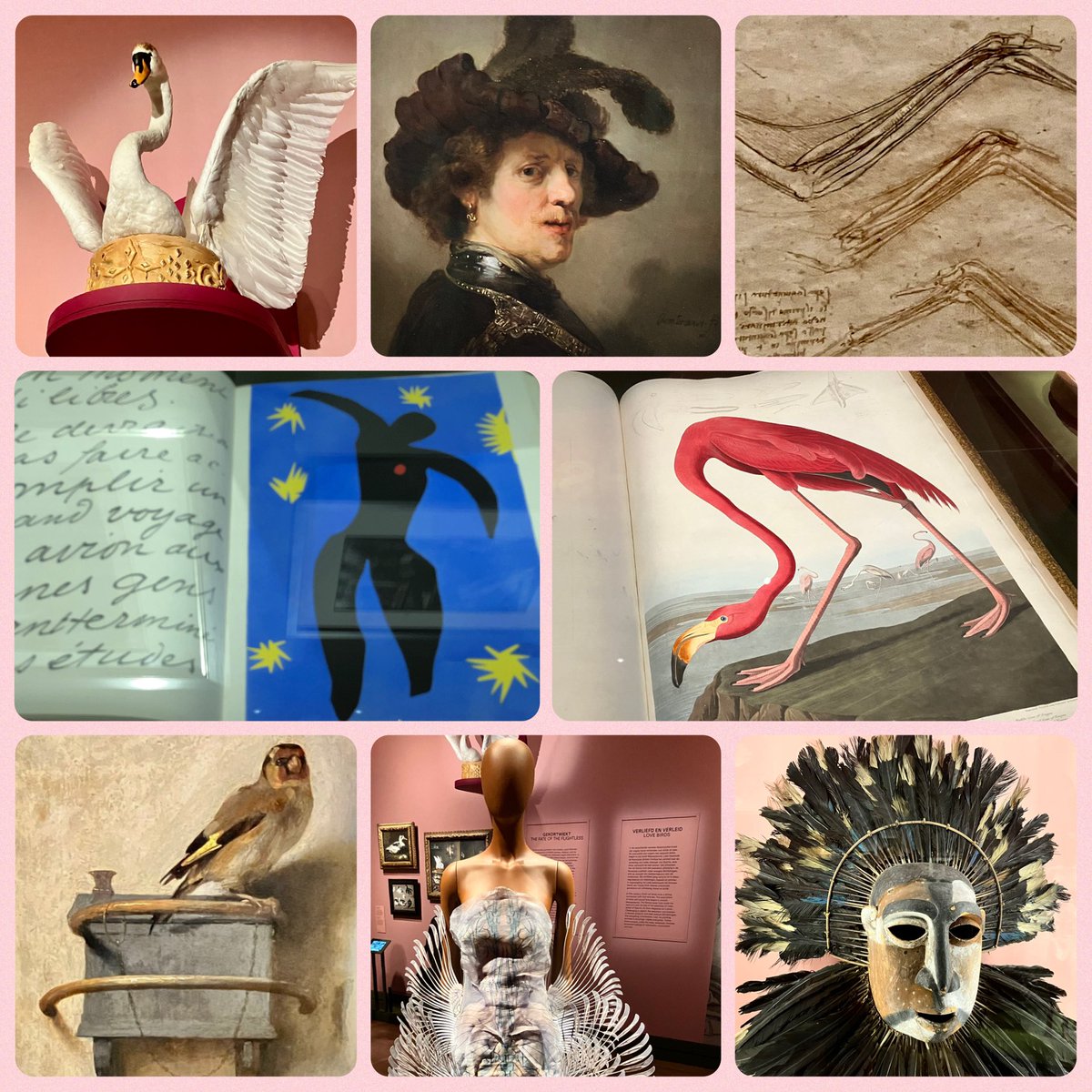 Rob van Zwet tweet media