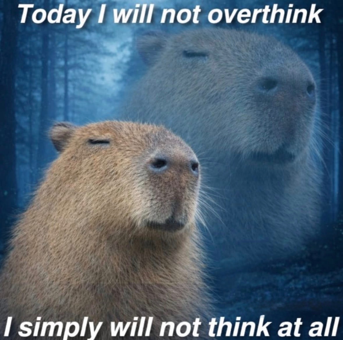 Respectful Memes (@respectfulmemes) on Twitter photo 