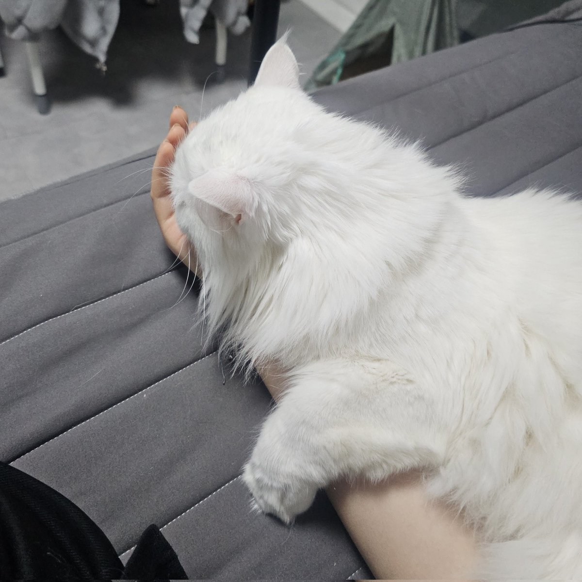 자세 바꾸심
뜨뜻하군