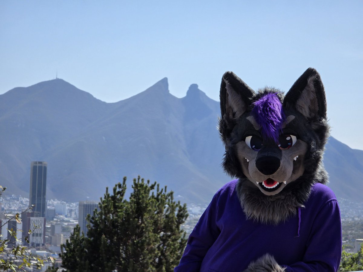 rotolfin tweet media