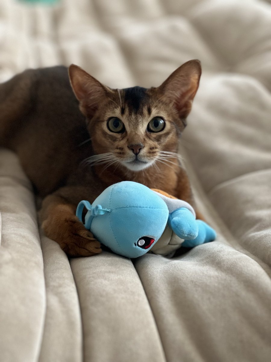 Cold Coffee Studio - RATALORICA May 19th! tweet media