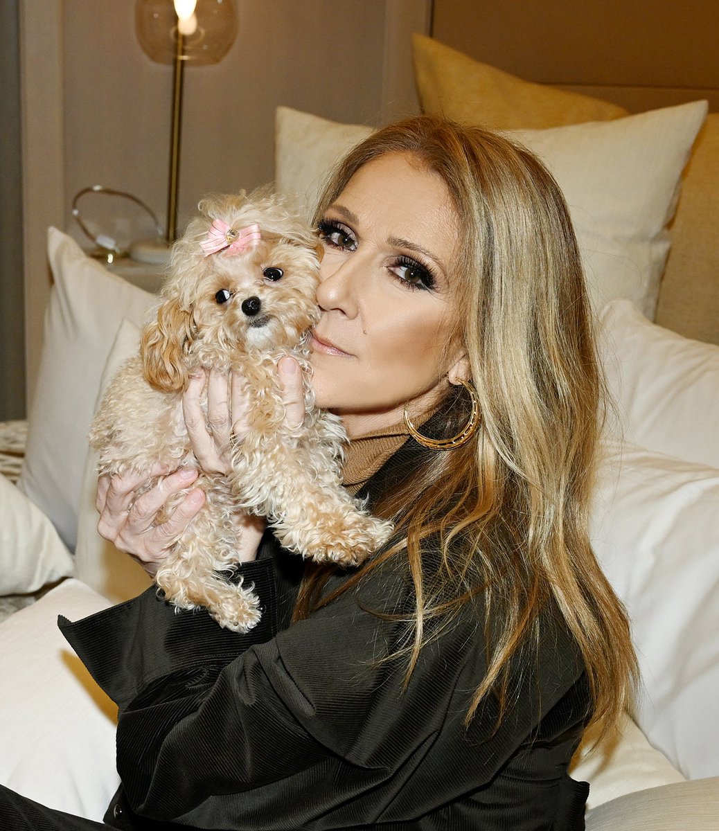 Celine Dion tweet media