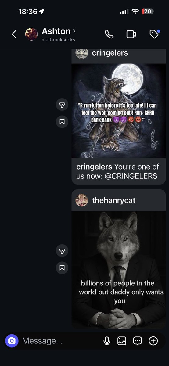 CariMurph tweet media