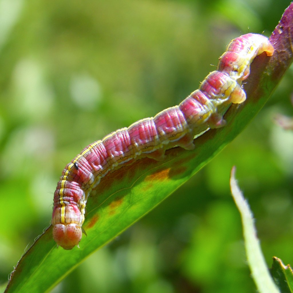 Ann in Bridge Lake tweet media