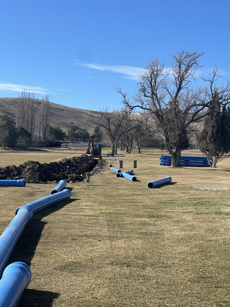 Richard Young tweet media