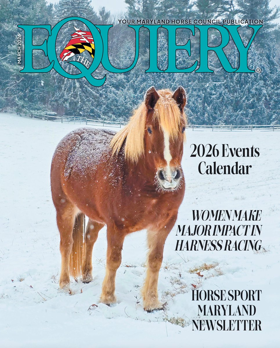 The Equiery tweet media