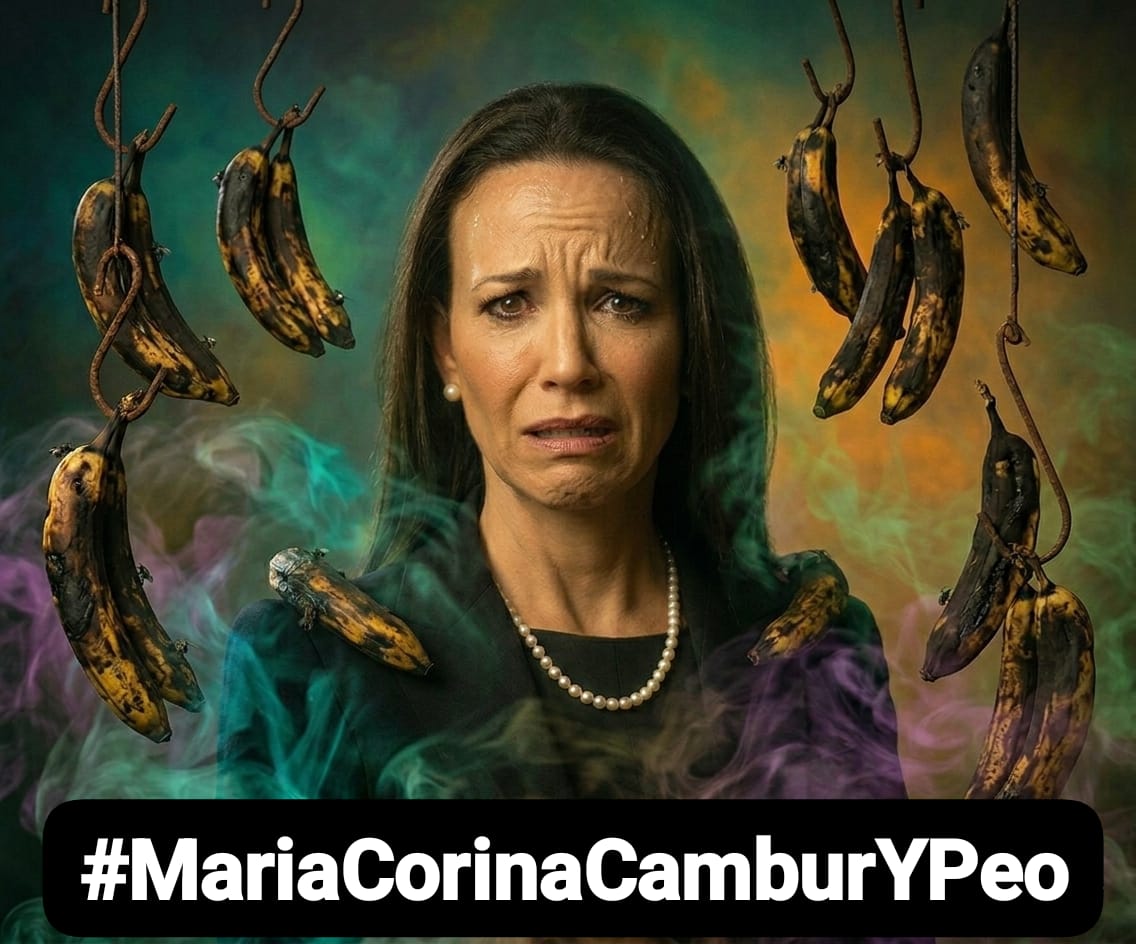 Martinachoque23's tweet photo. La política del "todo se vale" degradó a la ultraderecha. Aliarse con el narcotráfico y pedir intervenciones extranjeras es el sello de la Sayona. Por eso el país les da la espalda. #MaríaCorinaCamburYPeo https://t.co/3wsjvUEkZ5