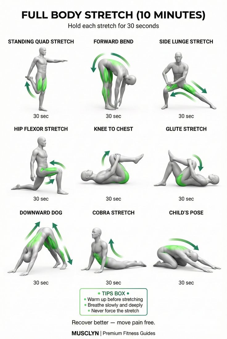 FitSculptor's tweet photo. Full Body Stretch (10 Minutes)💯 https://t.co/Ea6OKVfUkz