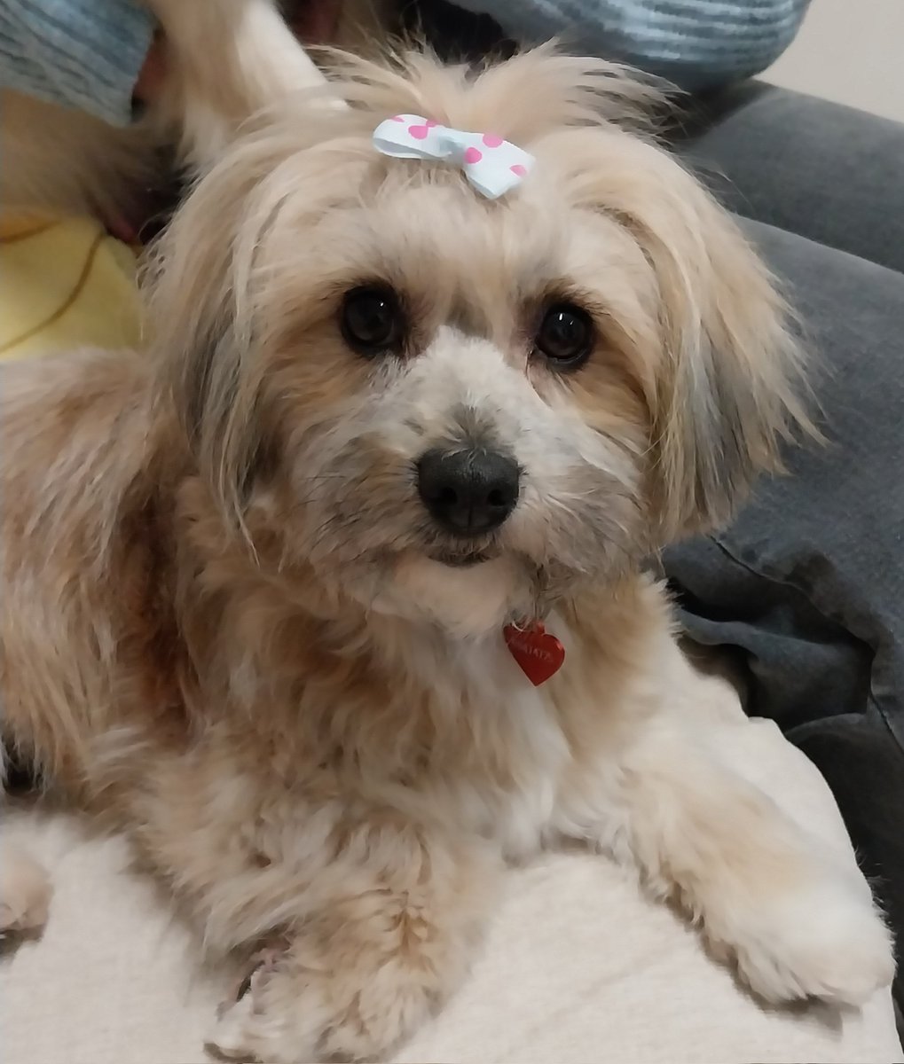 Η αγάπη  και η φροντίδα μεταμορφώνει...❤️