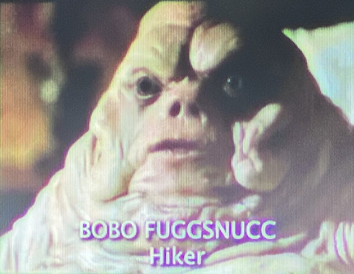 When you’re working out 4x a week and lifting at an elite level, yet you look like Bobo Fuggsnucc. 

It’s me. I am Bobo.