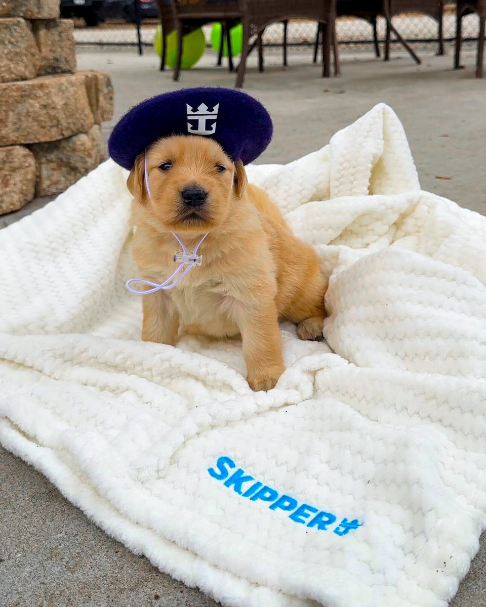 Royal Caribbean tweet media