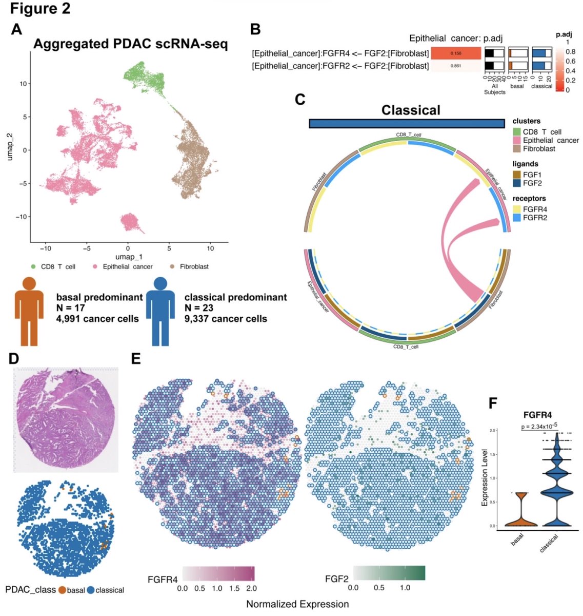 antisense. tweet media