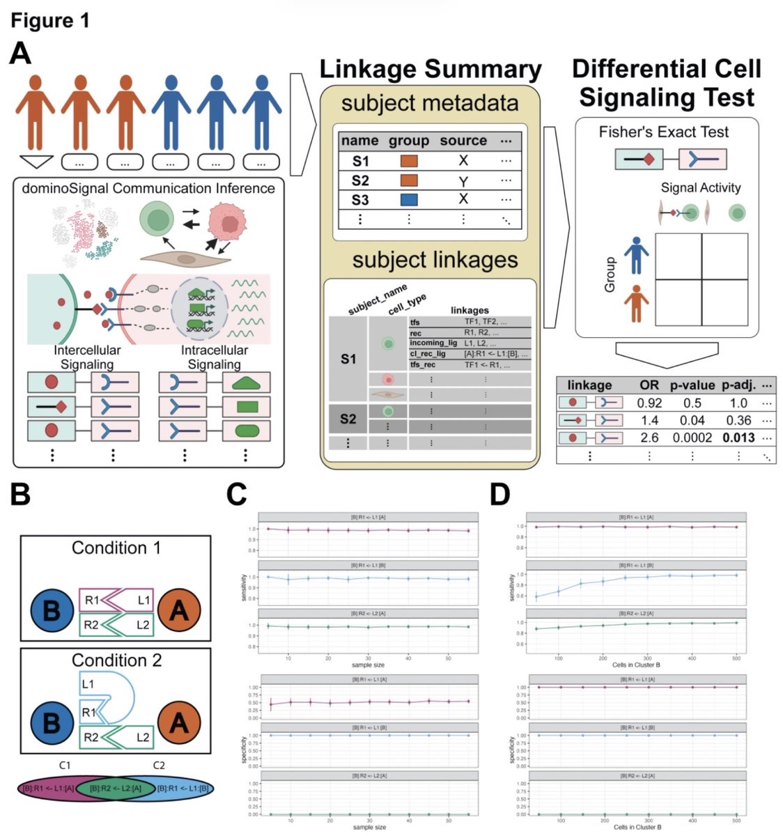 antisense. tweet media