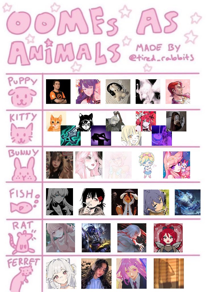 justcats ᓚᘏᗢ tweet media