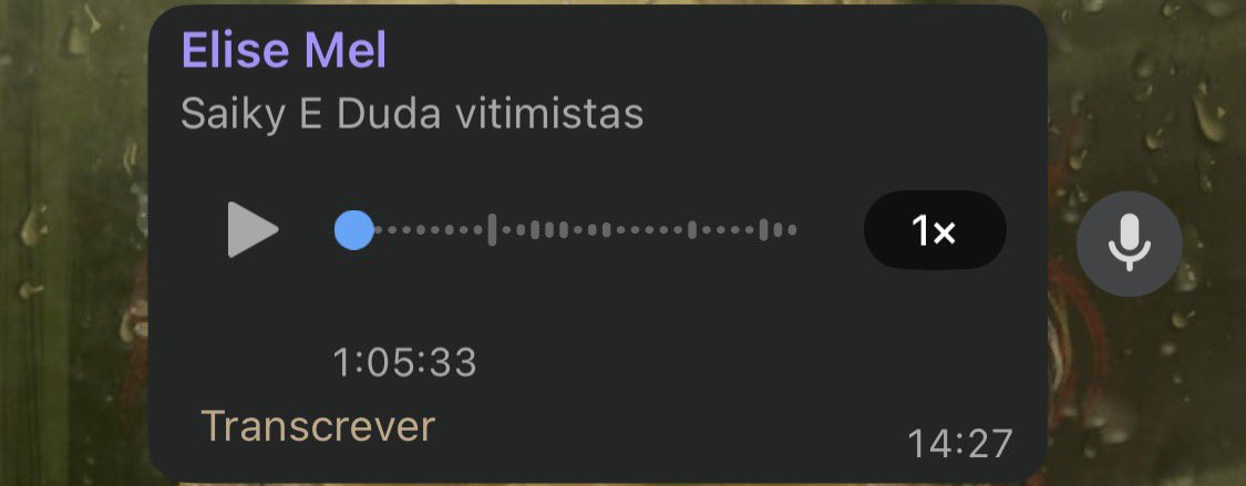 DrystanGuiar tweet media