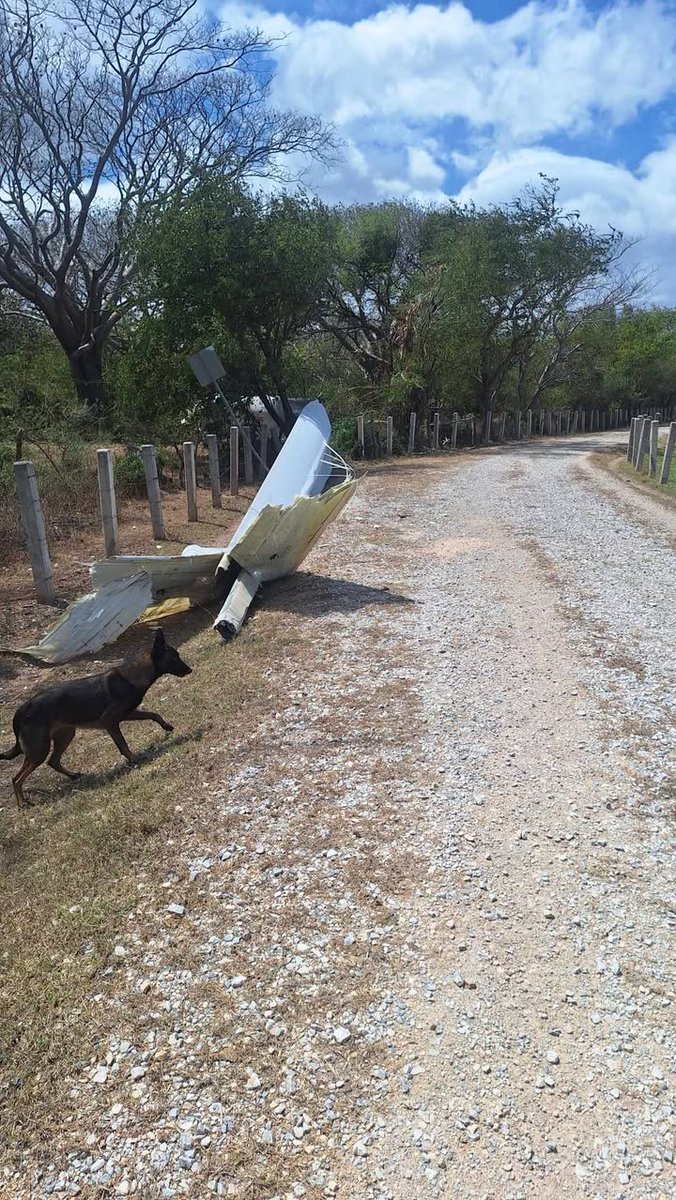 Colectivo GeoComunes tweet media