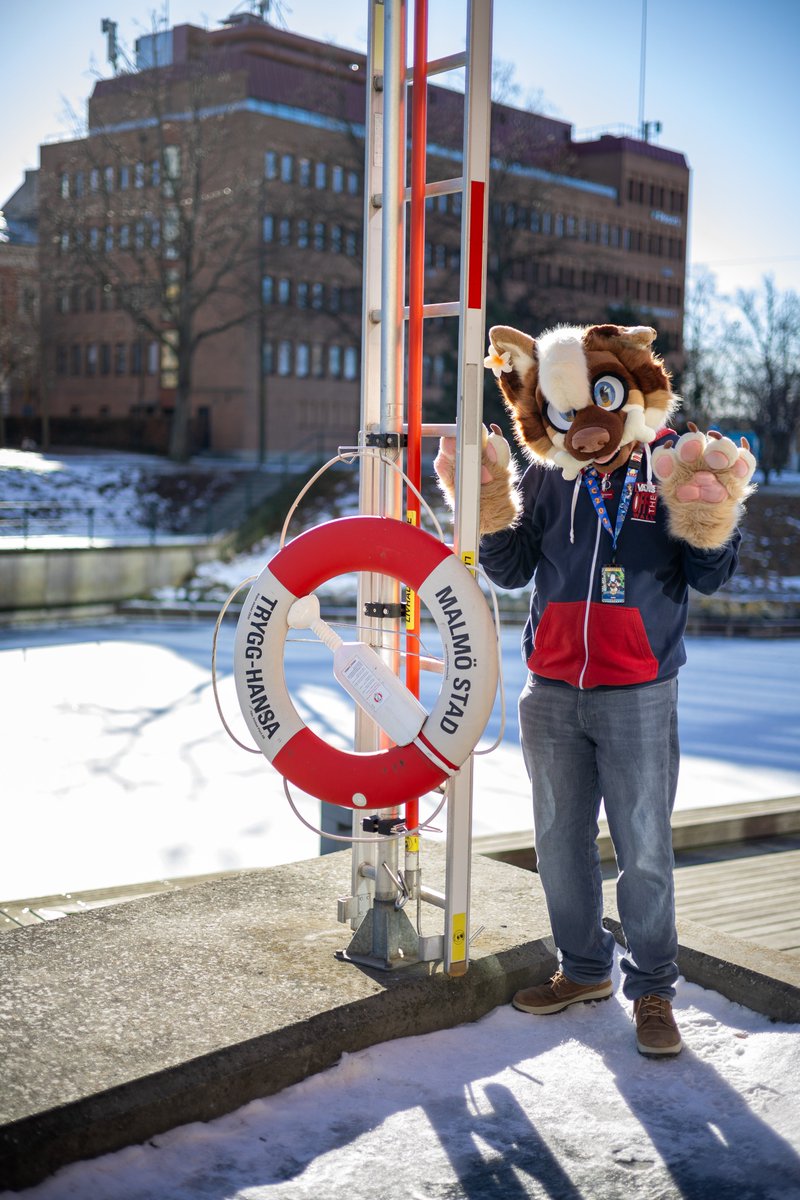 KeksiDragon tweet media