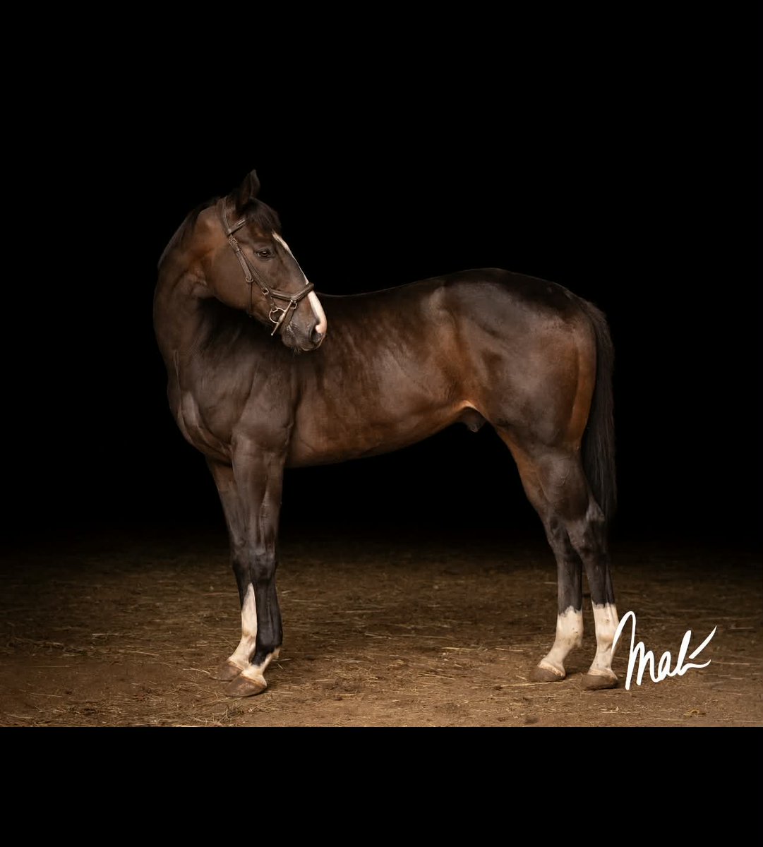 MichelePesulaKuegler tweet media