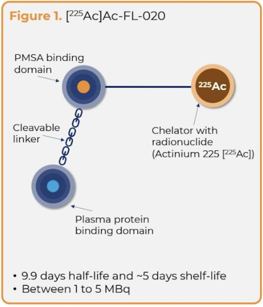 urotoday's tweet photo. #ProTACT: A first-in-human, phase 1 dose escalation and expansion study evaluating the safety, tolerability, and anti-tumor activity 225Ac-FL-020, an anti-PSMA radioconjugate, in patients with #mCRPC. Presentation by Giuseppe Cardaci, MD. #GU26 written coverage by @zklaassen_md > https://t.co/rD5pJZMpzk