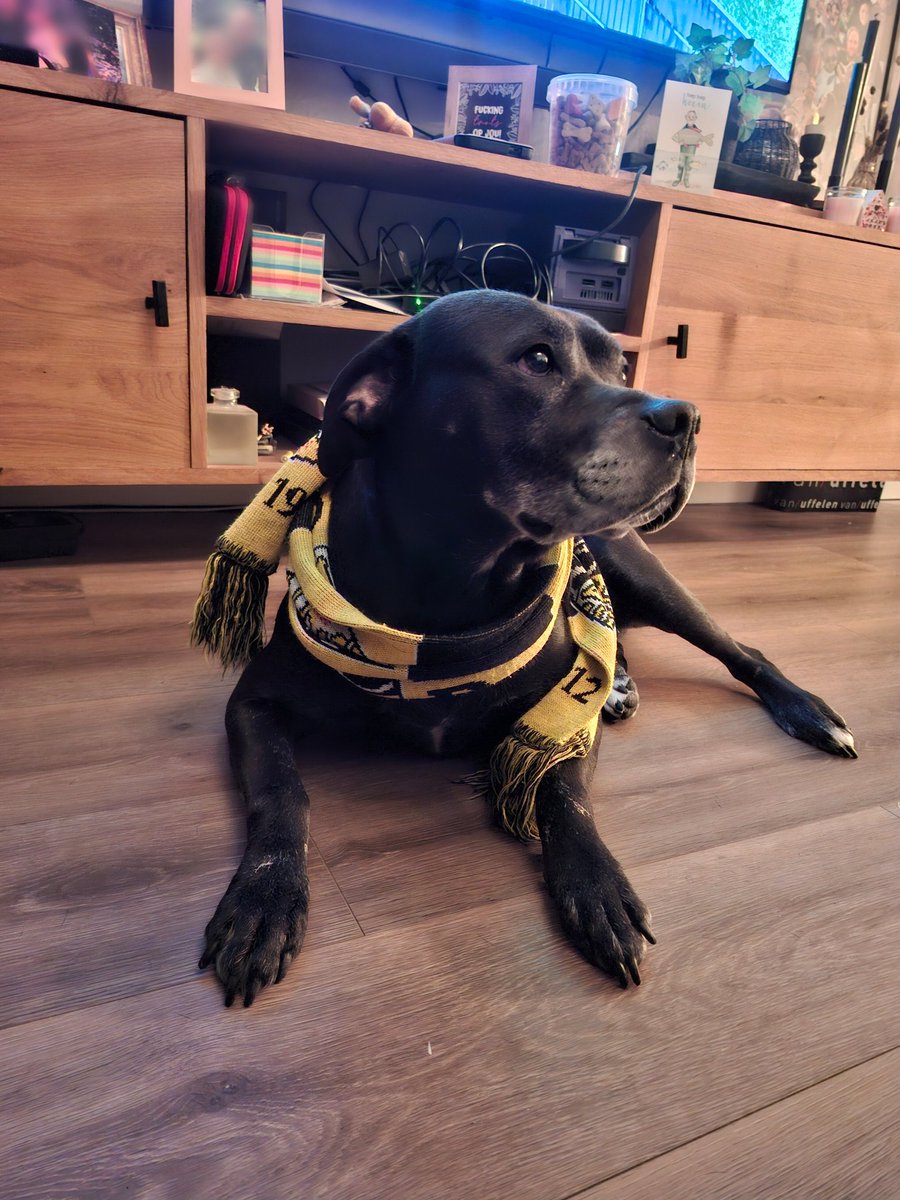 ๐ป๐๐๐๐๐๐๐๐๐ โจ tweet media