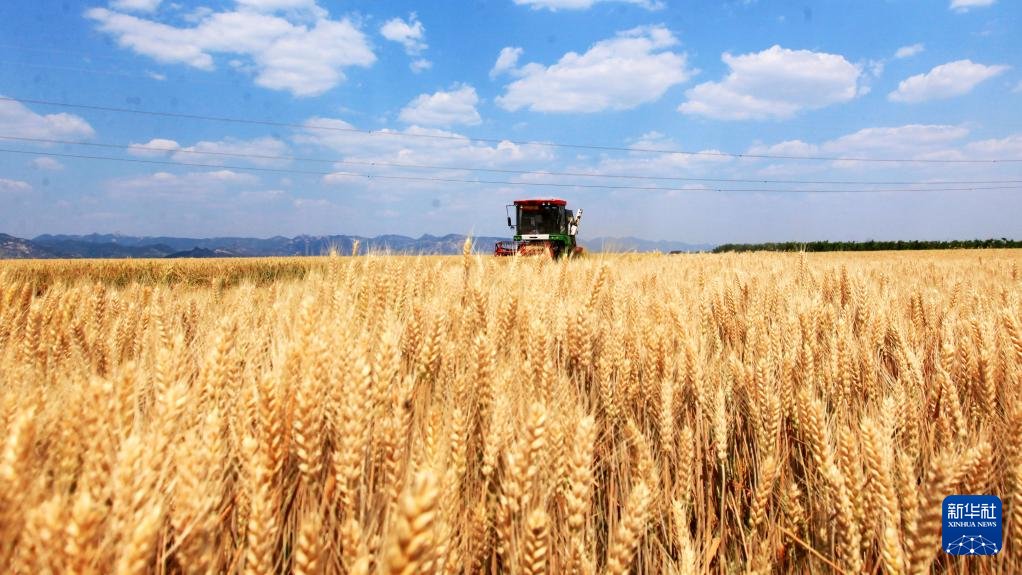 AmbCaiRun's tweet image. #China is feeding 20% of the world's population with 9% of the world's arable land. 🌍
With #grain output reaching 714.88M tons in 2025 (500kg per capita), China is not just securing its own "rice bowl" but injecting much-needed #certainty into the global market.
👉🏻