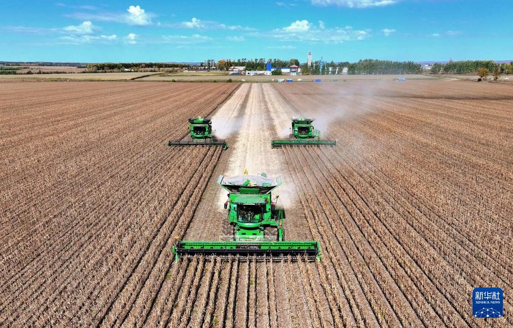 AmbCaiRun's tweet image. #China is feeding 20% of the world's population with 9% of the world's arable land. 🌍
With #grain output reaching 714.88M tons in 2025 (500kg per capita), China is not just securing its own "rice bowl" but injecting much-needed #certainty into the global market.
👉🏻