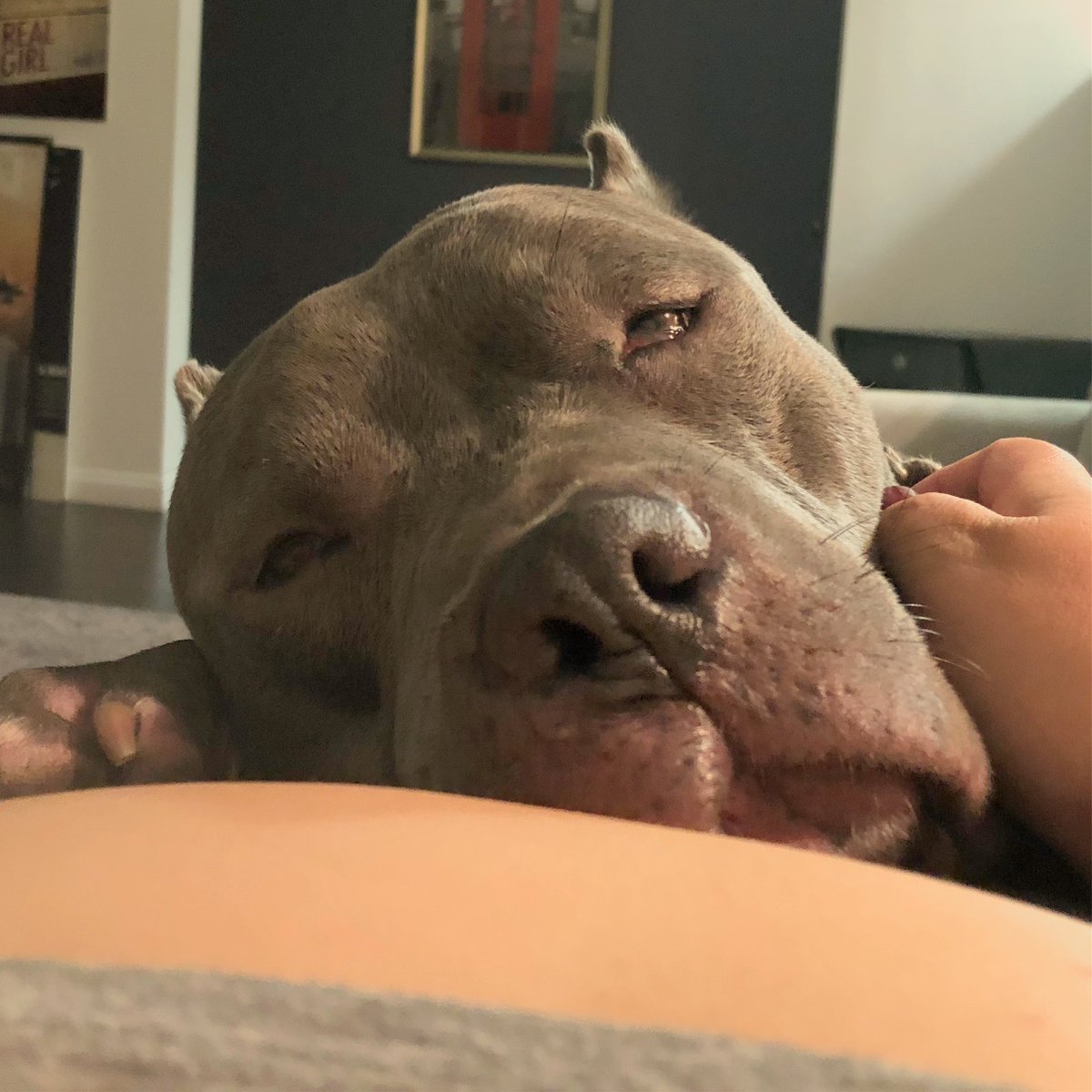 Jenelle Riley tweet media