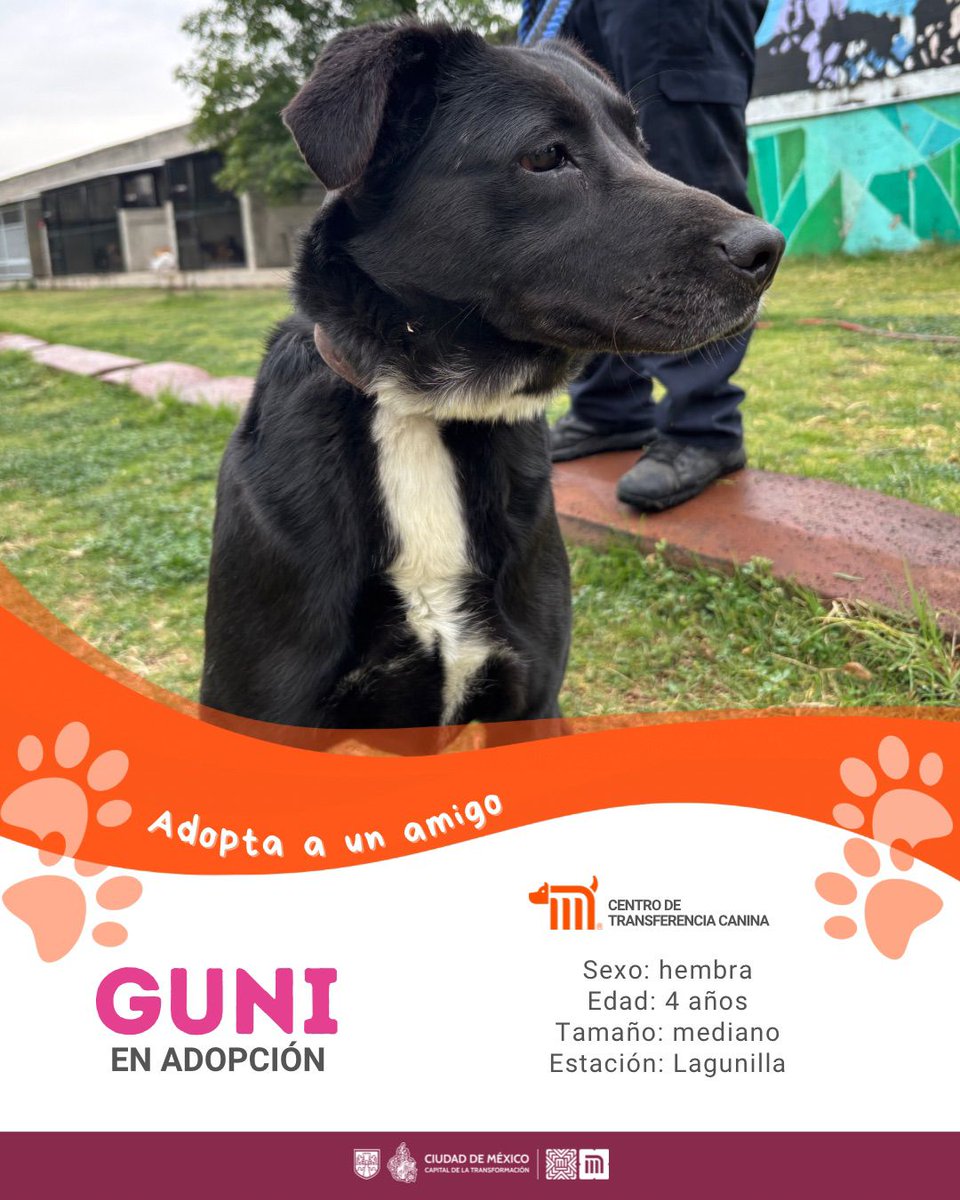 MetroCDMX tweet media