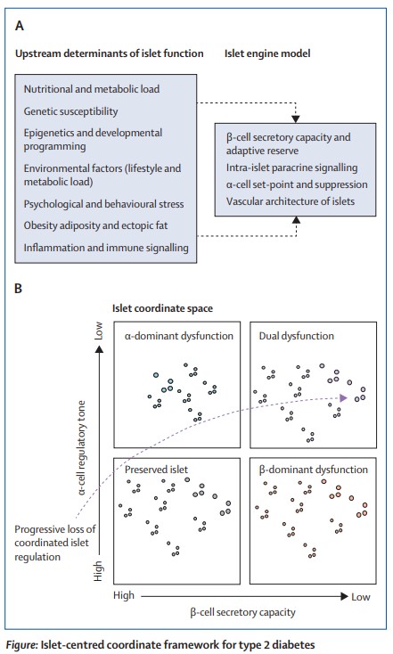 The Lancet Diabetes & Endocrinology tweet media
