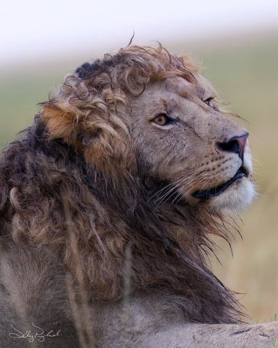 Instablog9ja tweet media