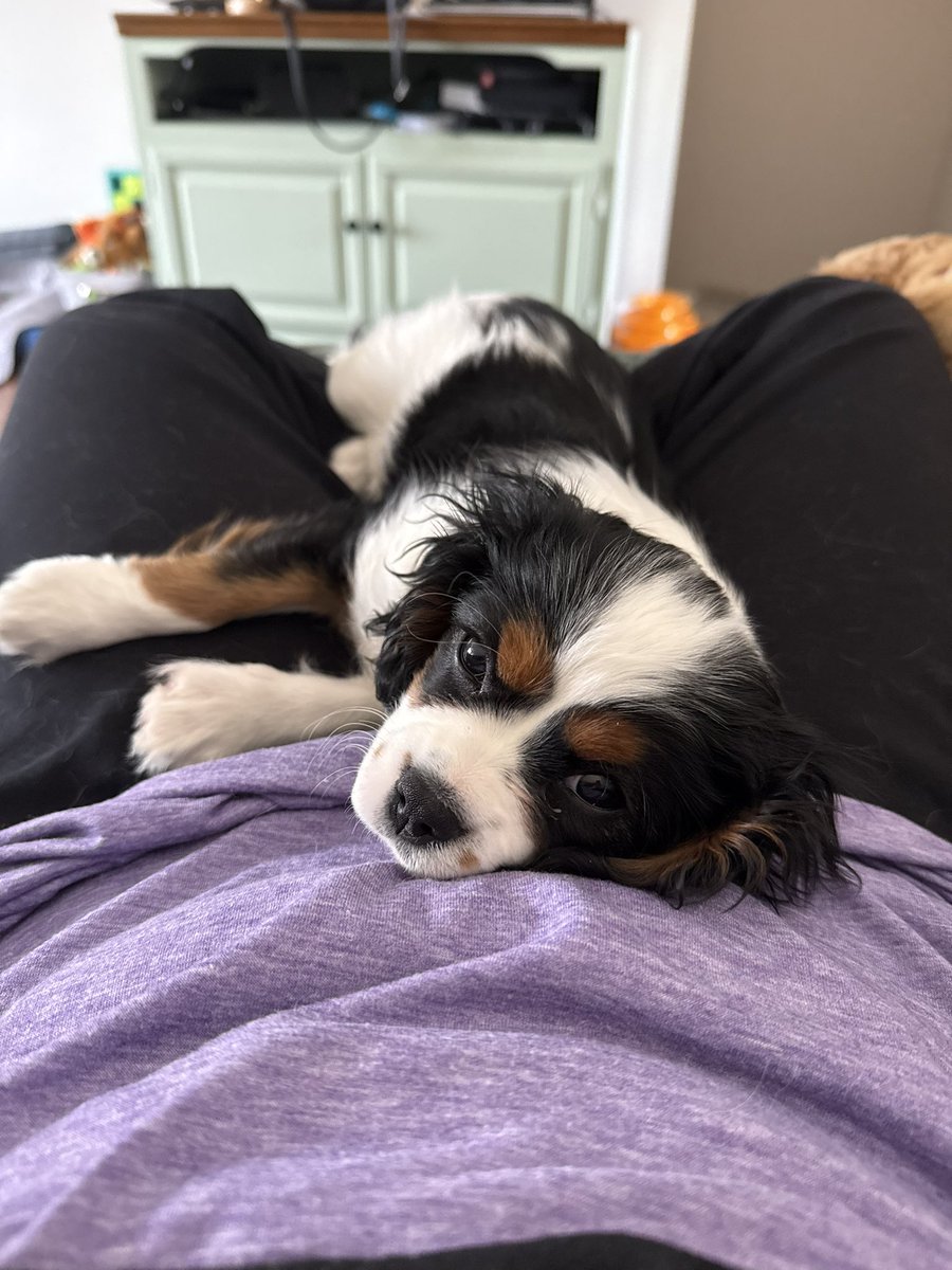 Jayna 💕 tweet media