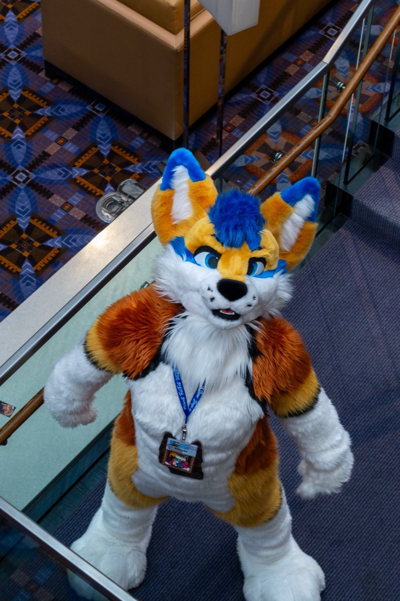 𝙆𝙊𝙊𝙋𝙀𝙍 ✈️ LVFC tweet media