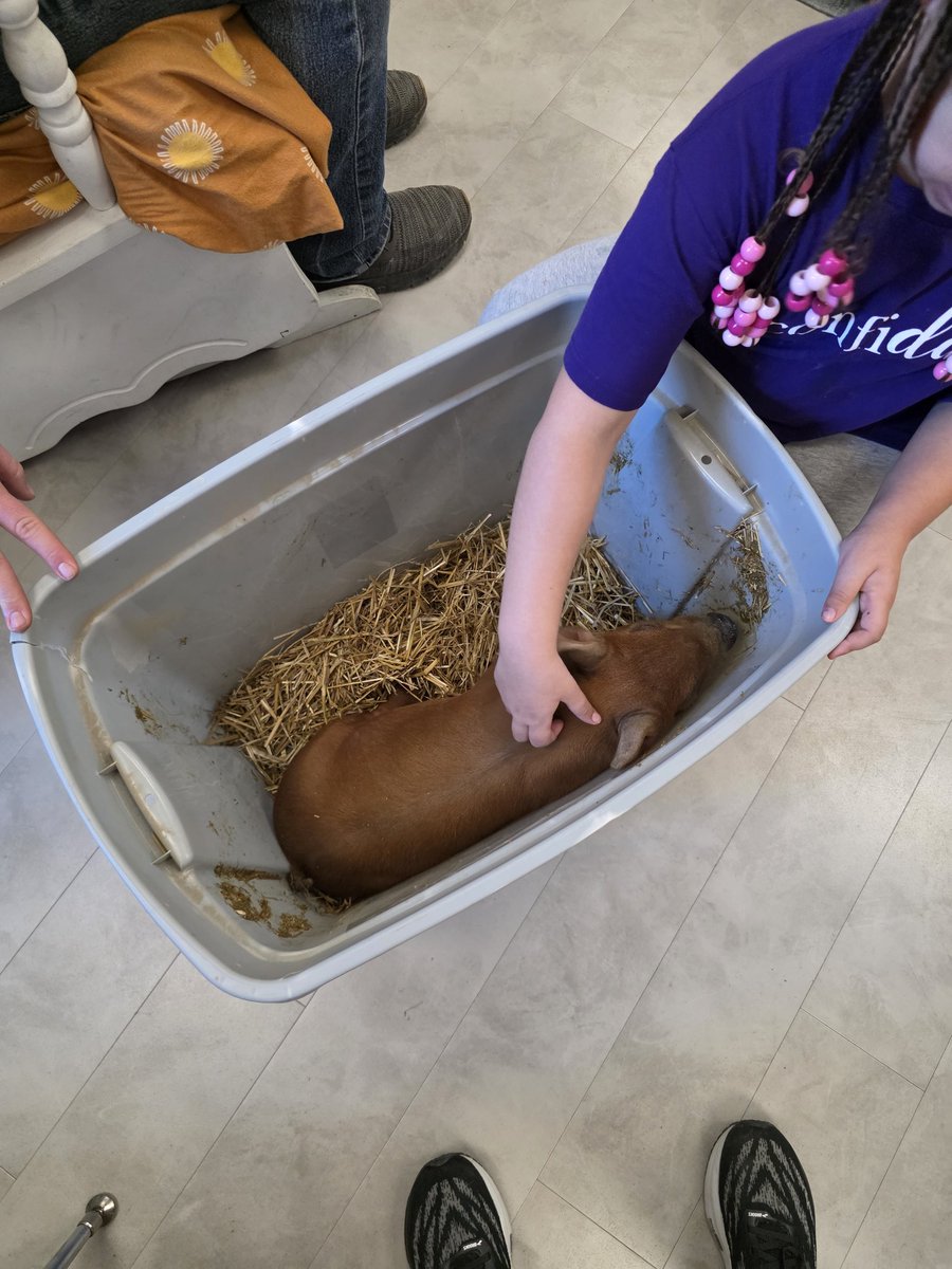 EWA Principal tweet media