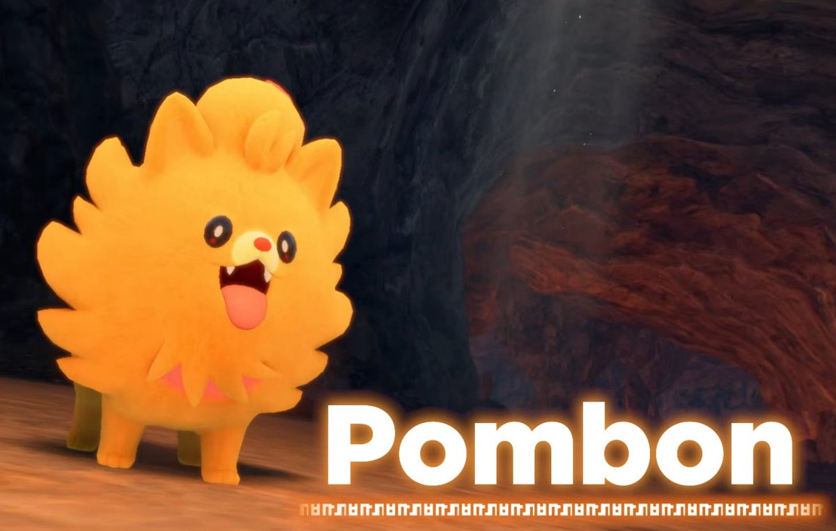 hayden fyrus 🌺⭐️ tweet media