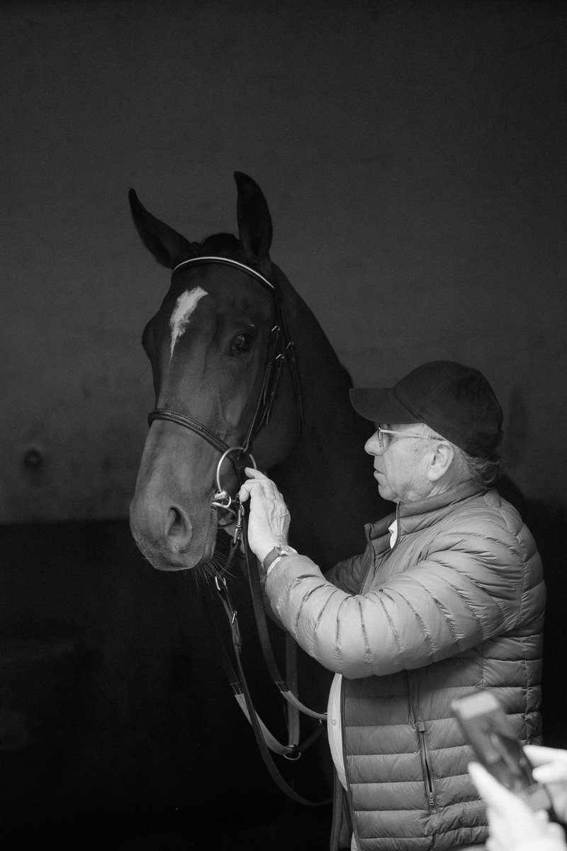 CouetRacingClub's tweet photo. R4C8- Dernière chance pour *Torreador* à @HPornichet.
Résultats décevants et incompréhensibles lors de ces dernières courses. Il se teste sur une longue distance avec @OlivierAndigne. 🤞🏻🤞🏻💛🤎
@ACouetil 
@AurelB14 @thibzer30 https://t.co/vvpzrR2EUD