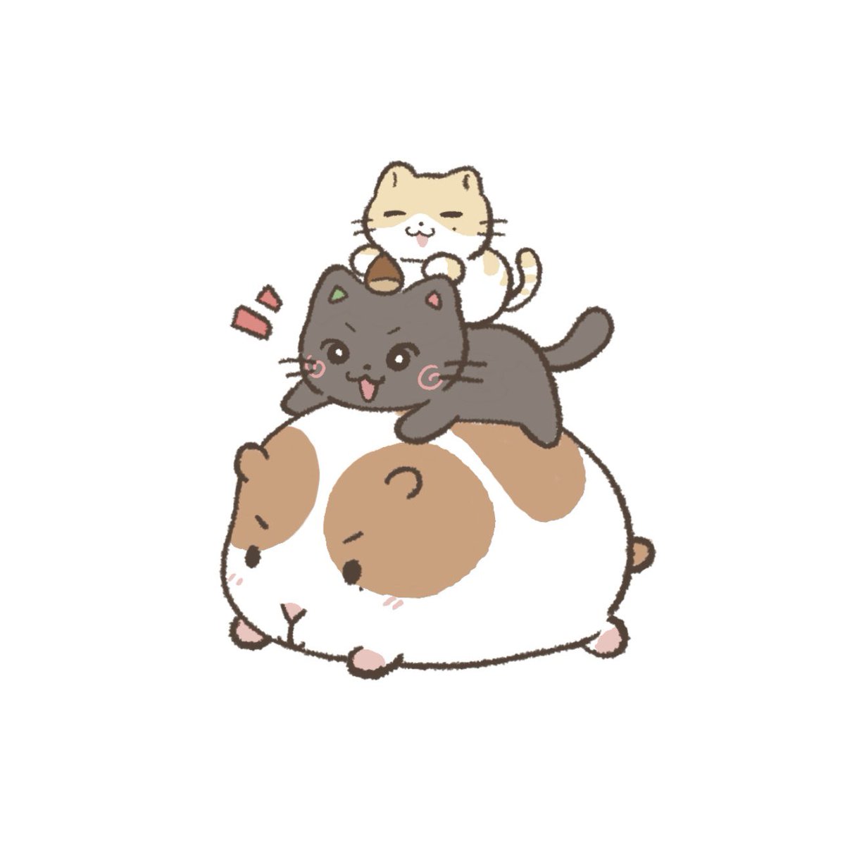 bei (@beibei_mego) on Twitter photo 