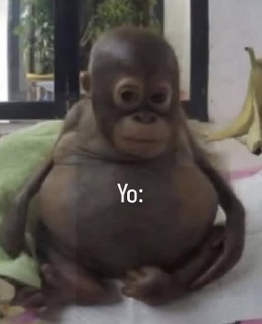 feels illegal tweet media