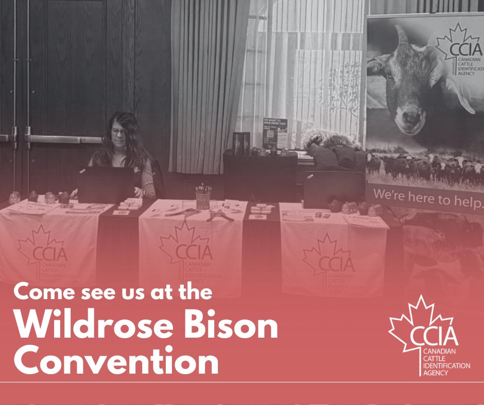 CCIA (Canadian Cattle Identification Agency) tweet media