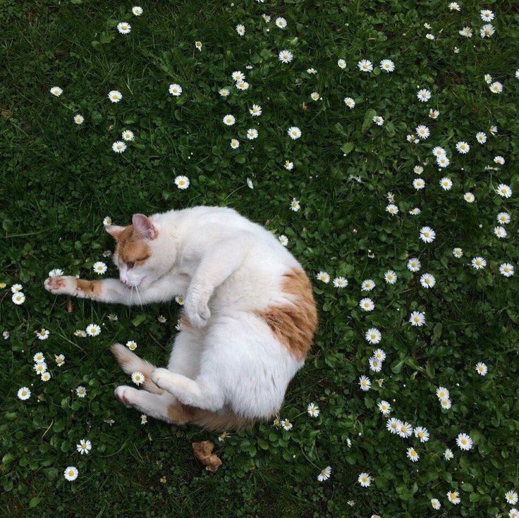 World Click (@worldclick56) on Twitter photo 