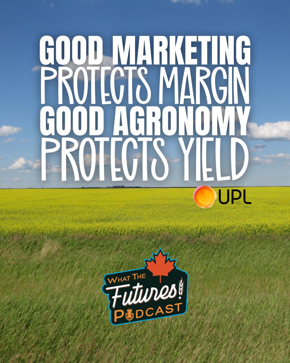 wtfuturespod's tweet photo. Wild oats don’t disappear because we wish they would. Sabrina from UPL joined me to talk about herbicide layering. I had lots of questions! Pre-emerge. Follow-up. Different modes of action. Good marketing protects margin. Good agronomy protects yield. New episode is up.

https://t.co/z9E9c6CCT5

@UPLCanada